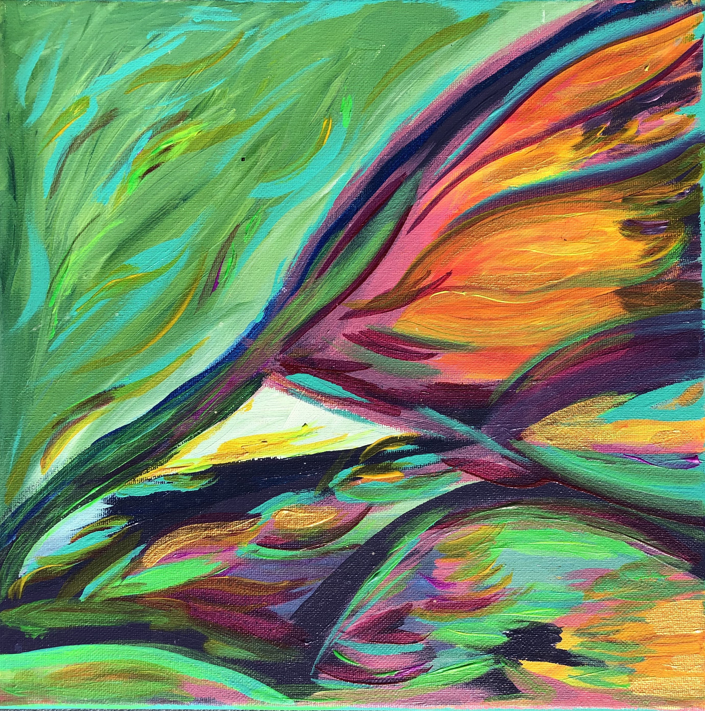 Tulip Fields